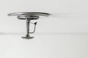 home fire sprinkler